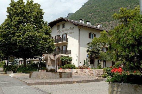 Gasthof Restaurant Gruner Baum