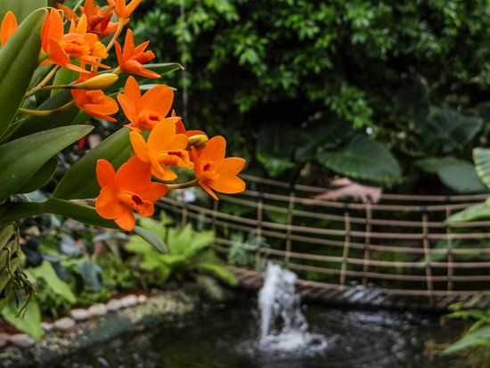 Parco Tematico Raffeiner